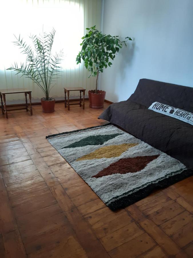 Iulia Sulina 2 Apartment ภายนอก รูปภาพ